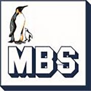 (c) Mbs-ag.com